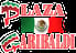 Plaza Garibaldi Mezcaleria